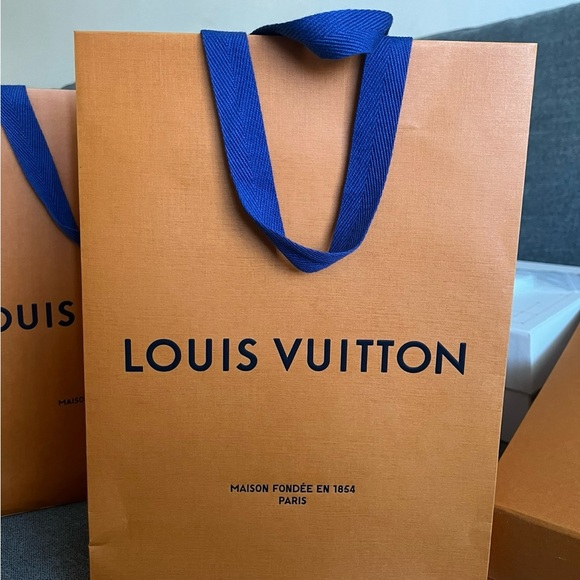 LOUIS VUITTON DAUPHINE CHAIN WALLET - Picture 4 of 5